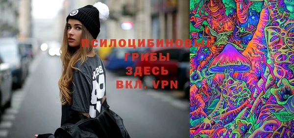 спиды Абаза