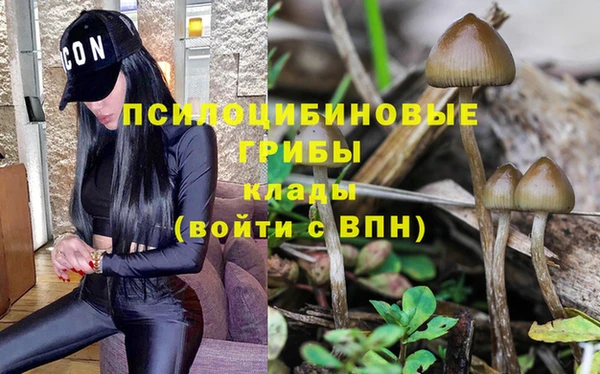 твердый Абинск