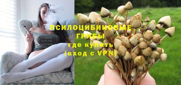 твердый Абинск