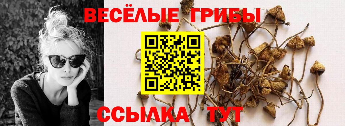 Галлюциногенные грибы Psilocybine cubensis  Вход с VPN  Скопин 